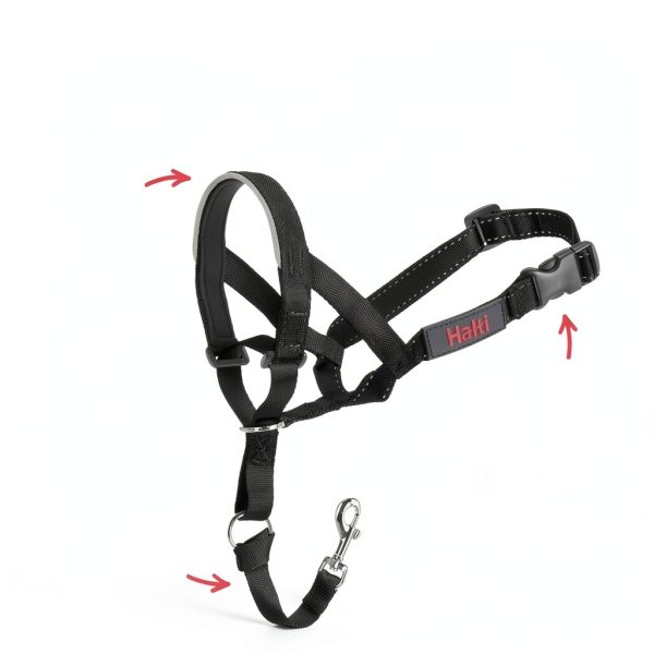 Halti Headcollar Dog No Pull Training Leash Control-2