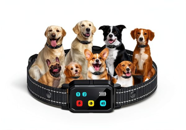 Shenzhen Cuter Dog Training Collar Remote Control 3300FT-6