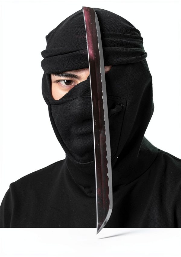 Young Samurai Book 2 Kindle Edition English Adventure-0