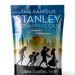 Stanley Family Book 2 Childrens Fiction Kindle Edition-0