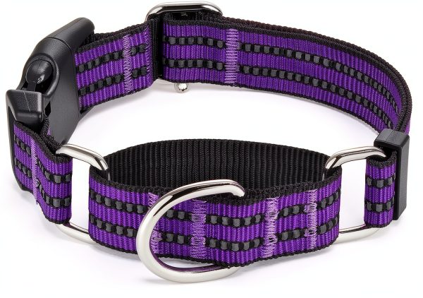 Hikiko Martingale Dog Collar Reflective Nylon Training Pet-0