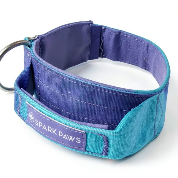 Spark Paws Tactical Dog Collar Heavy Duty Nylon Handle-3