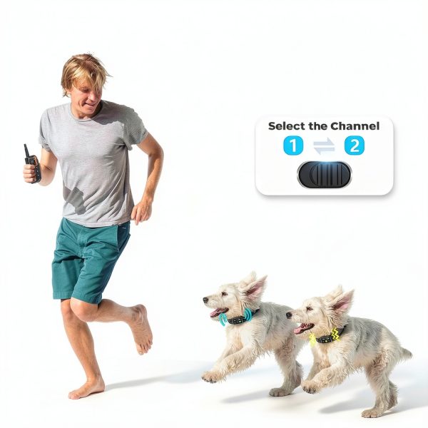 Shenzhen Cuter Dog Training Collar Remote Control 3300FT-4