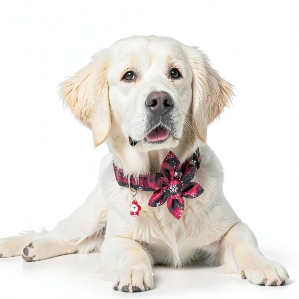 ADOGGYGO Christmas Dog Collar Plaid Floral Pet Collar-1