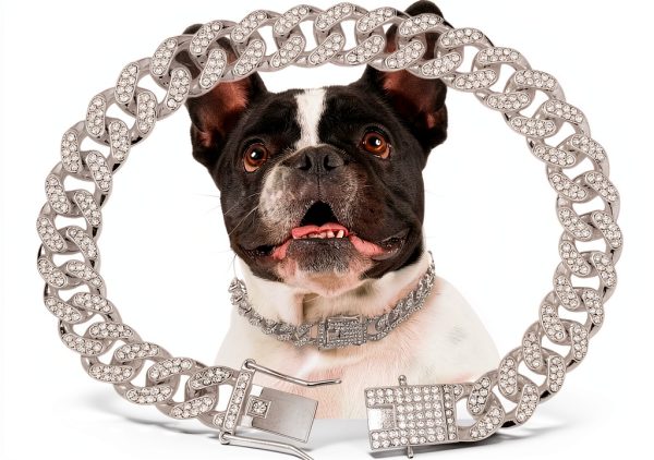 THAMIAO Dog Collar Chain Zinc Alloy Silver Gold Rosegold-0