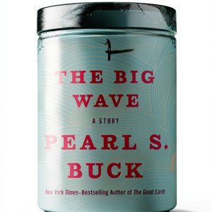 Open Road Media Teen Tween Ebook Childrens Asia Fiction-0