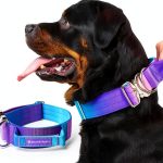 Spark Paws Tactical Dog Collar Heavy Duty Nylon Handle-0