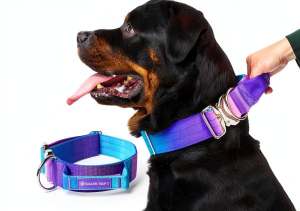 Spark Paws Tactical Dog Collar Heavy Duty Nylon Handle-0