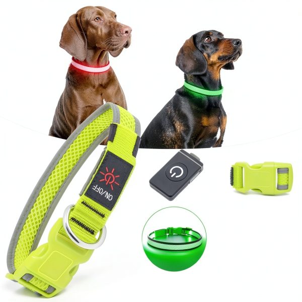 Yuansen Brightest LED Dog Collar-3