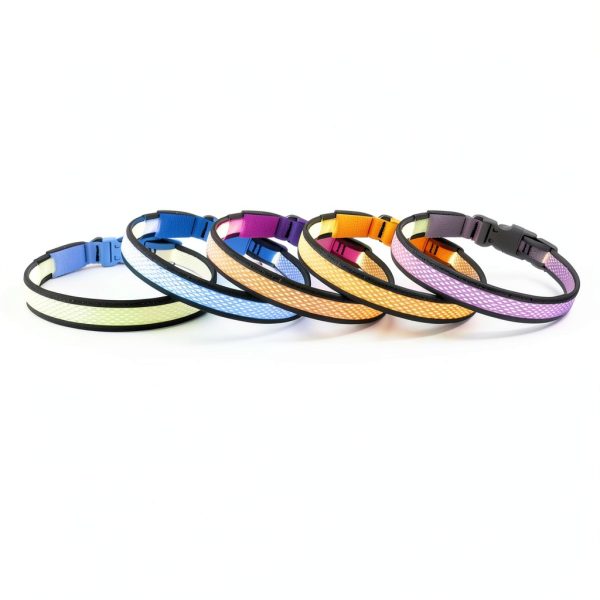 Yuansen Brightest LED Dog Collar-2