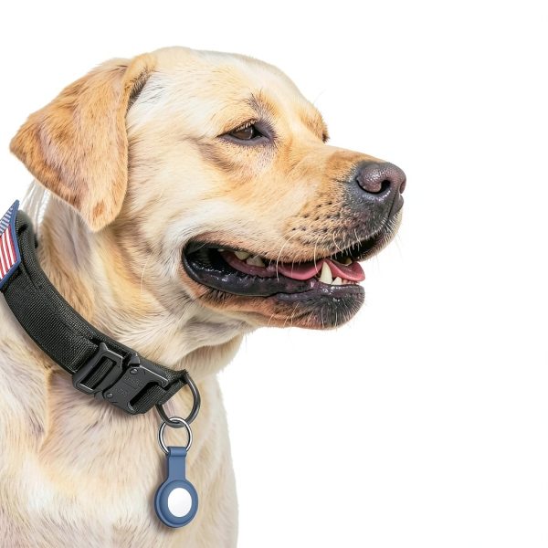 DAGANXI Tactical Dog Collars Nylon Fabric-1