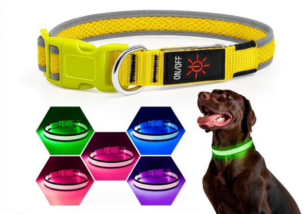 Yuansen Brightest LED Dog Collar-5