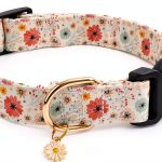 Faygarsle Dog Collar Double Cotton Comfortable-0